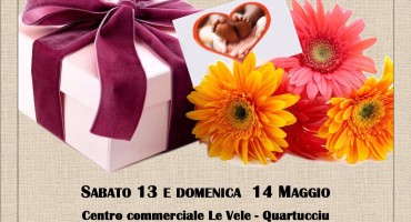 festa mamma 2017(1)